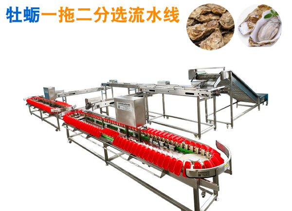 牡蠣一拖二分選、輸送流水線