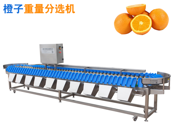 橙子重量分選機臍橙稱重分選機橙子分級機水果分選機選果機