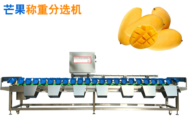 芒果稱重分選機 芒果重量分選機 芒果果品選果機 水果分級機