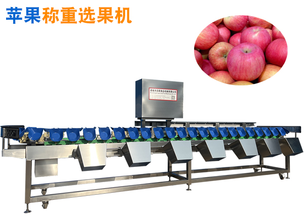 蘋果選果機 蘋果重量分選機 蘋果稱重分級機 選果機蘋果加工流水線