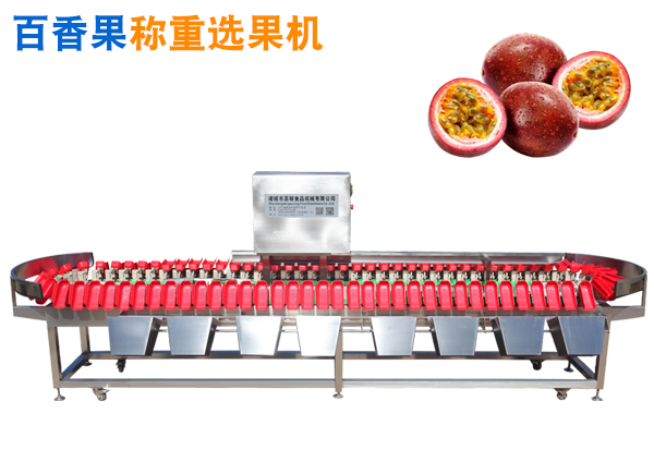 百香果選果機 精品水果選果機 百香果分選機