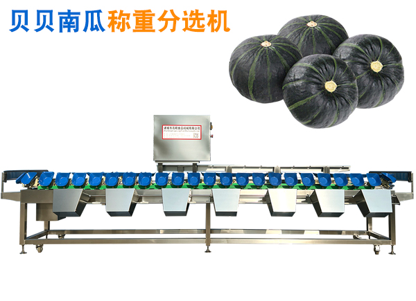貝貝南瓜稱重分選機 貝貝南瓜選果機 貝貝南瓜重量分揀機分級機