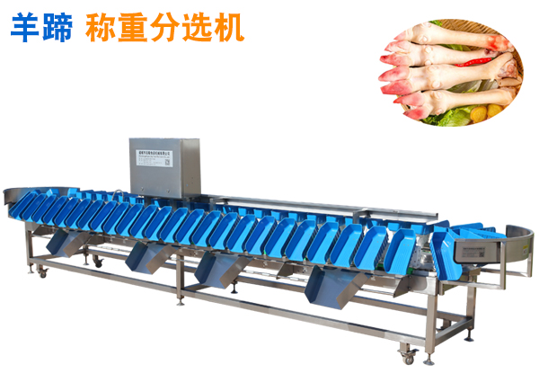 羊蹄重量分選機(jī) 羊蹄稱重分選機(jī) 羊蹄子分揀機(jī)