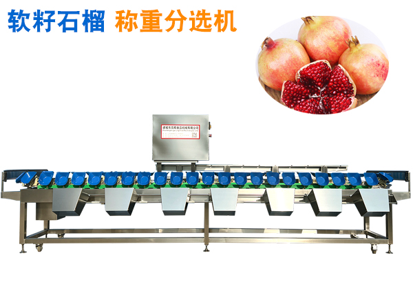 軟籽石榴稱重分選機 石榴分揀機 大石榴分選機 突尼斯軟籽石榴選果機