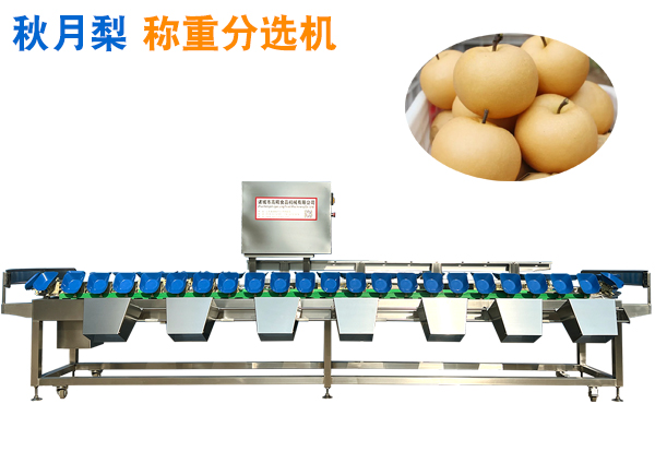 秋月梨稱重分選機 碭山梨重量分選機 萊陽梨分選機 選果機